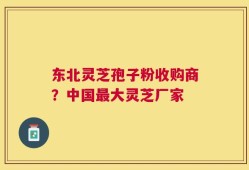 东北灵芝孢子粉收购商？中国最大灵芝厂家