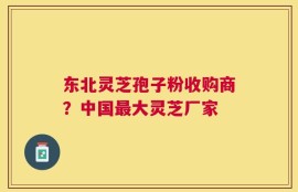 东北灵芝孢子粉收购商？中国最大灵芝厂家
