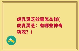 虎乳灵芝效果怎么样(虎乳灵芝：有哪些神奇功效？)