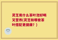 灵芝用什么茶叶泡好喝又营养(灵芝和哪些茶叶搭配更健康？)