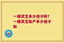 一棵灵芝多少孢子粉？一棵灵芝能产多少孢子粉