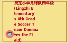 灵芝小学足球队四年级(Lingzhi Elementary's 4th Grade Soccer Team Dominates the Field)