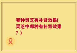 哪种灵芝有补肾效果(灵芝中哪种有补肾效果？)