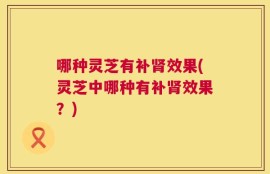 哪种灵芝有补肾效果(灵芝中哪种有补肾效果？)