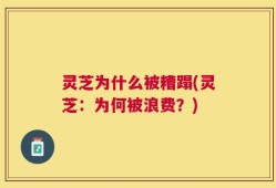 灵芝为什么被糟蹋(灵芝：为何被浪费？)
