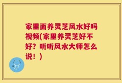 家里面养灵芝风水好吗视频(家里养灵芝好不好？听听风水大师怎么说！)