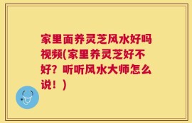 家里面养灵芝风水好吗视频(家里养灵芝好不好？听听风水大师怎么说！)