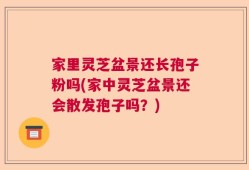 家里灵芝盆景还长孢子粉吗(家中灵芝盆景还会散发孢子吗？)