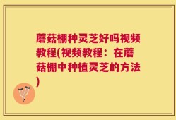 蘑菇棚种灵芝好吗视频教程(视频教程：在蘑菇棚中种植灵芝的方法)