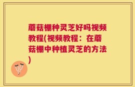 蘑菇棚种灵芝好吗视频教程(视频教程：在蘑菇棚中种植灵芝的方法)
