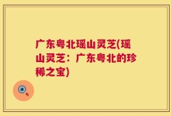 广东粤北瑶山灵芝(瑶山灵芝：广东粤北的珍稀之宝)
