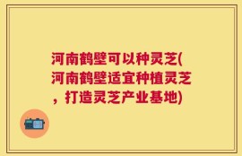 河南鹤壁可以种灵芝(河南鹤壁适宜种植灵芝，打造灵芝产业基地)