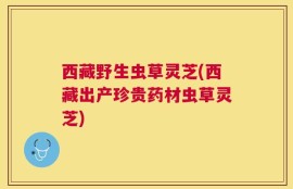 西藏野生虫草灵芝(西藏出产珍贵药材虫草灵芝)