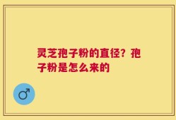 灵芝孢子粉的直径？孢子粉是怎么来的
