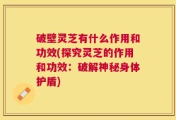 破壁灵芝有什么作用和功效(探究灵芝的作用和功效：破解神秘身体护盾)