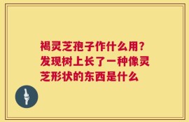 褐灵芝孢子作什么用？发现树上长了一种像灵芝形状的东西是什么