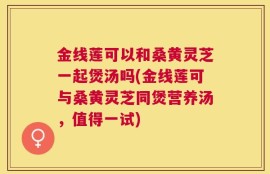 金线莲可以和桑黄灵芝一起煲汤吗(金线莲可与桑黄灵芝同煲营养汤，值得一试)