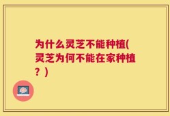 为什么灵芝不能种植(灵芝为何不能在家种植？)