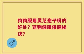 狗狗服用灵芝孢子粉的好处？宠物健康保健秘诀？