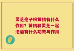 灵芝孢子粉黄精有什么作用？黄精和灵芝一起泡酒有什么功效与作用