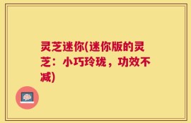 灵芝迷你(迷你版的灵芝：小巧玲珑，功效不减)