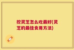 挖灵芝怎么吃最好(灵芝的最佳食用方法)