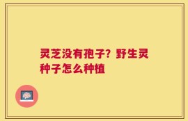灵芝没有孢子？野生灵种子怎么种植