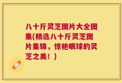 八十斤灵芝图片大全图集(精选八十斤灵芝图片集锦，惊艳眼球的灵芝之美！)