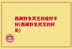 西藏野生灵芝到底好不好(西藏野生灵芝的好处)