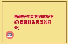 西藏野生灵芝到底好不好(西藏野生灵芝的好处)