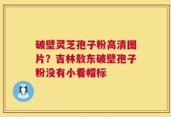 破壁灵芝孢子粉高清图片？吉林敖东破壁孢子粉没有小看帽标