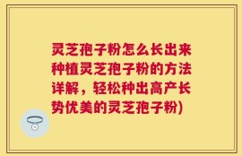 灵芝孢子粉怎么长出来种植灵芝孢子粉的方法详解，轻松种出高产长势优美的灵芝孢子粉)