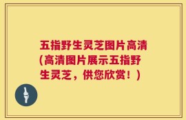 五指野生灵芝图片高清(高清图片展示五指野生灵芝，供您欣赏！)