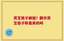 灵芝孢子被偷？鹊华灵芝孢子粉是真的吗