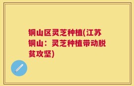 铜山区灵芝种植(江苏铜山：灵芝种植带动脱贫攻坚)