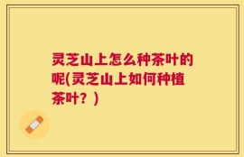 灵芝山上怎么种茶叶的呢(灵芝山上如何种植茶叶？)