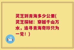 灵芝到青海多少公里(灵芝探秘：穿越千山万水，追寻青海奇珍只为一见！)