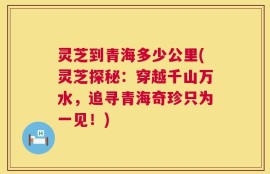 灵芝到青海多少公里(灵芝探秘：穿越千山万水，追寻青海奇珍只为一见！)
