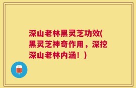 深山老林黑灵芝功效(黑灵芝神奇作用，深挖深山老林内涵！)
