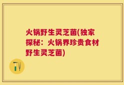火锅野生灵芝菌(独家探秘：火锅界珍贵食材野生灵芝菌)