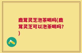 鹿茸灵芝泡茶喝吗(鹿茸灵芝可以泡茶喝吗？)