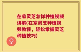 在家灵芝怎样种植视频讲解(在家灵芝种植视频教程，轻松掌握灵芝种植技巧)