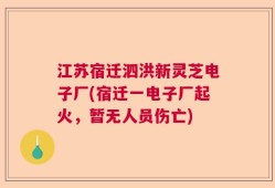 江苏宿迁泗洪新灵芝电子厂(宿迁一电子厂起火，暂无人员伤亡)