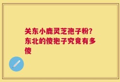 关东小鹿灵芝孢子粉？东北的傻狍子究竟有多傻