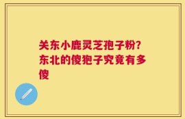 关东小鹿灵芝孢子粉？东北的傻狍子究竟有多傻