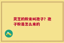 灵芝的粉末叫孢子？孢子粉是怎么来的