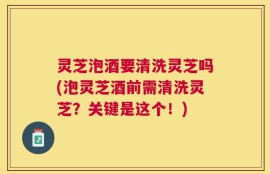 灵芝泡酒要清洗灵芝吗(泡灵芝酒前需清洗灵芝？关键是这个！)