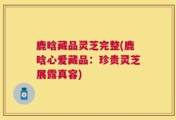 鹿晗藏品灵芝完整(鹿晗心爱藏品：珍贵灵芝展露真容)