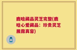 鹿晗藏品灵芝完整(鹿晗心爱藏品：珍贵灵芝展露真容)