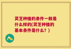 灵芝种植的条件一般是什么样的(灵芝种植的基本条件是什么？)